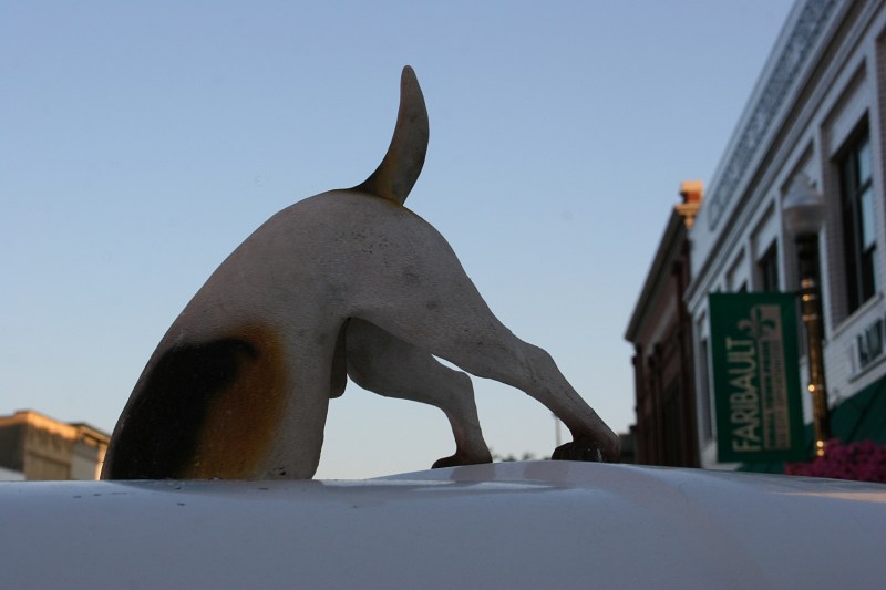 Typically, this dog's behind is attached to the back of the truck. But on this evening, it was resting on the roof. This made me laugh.