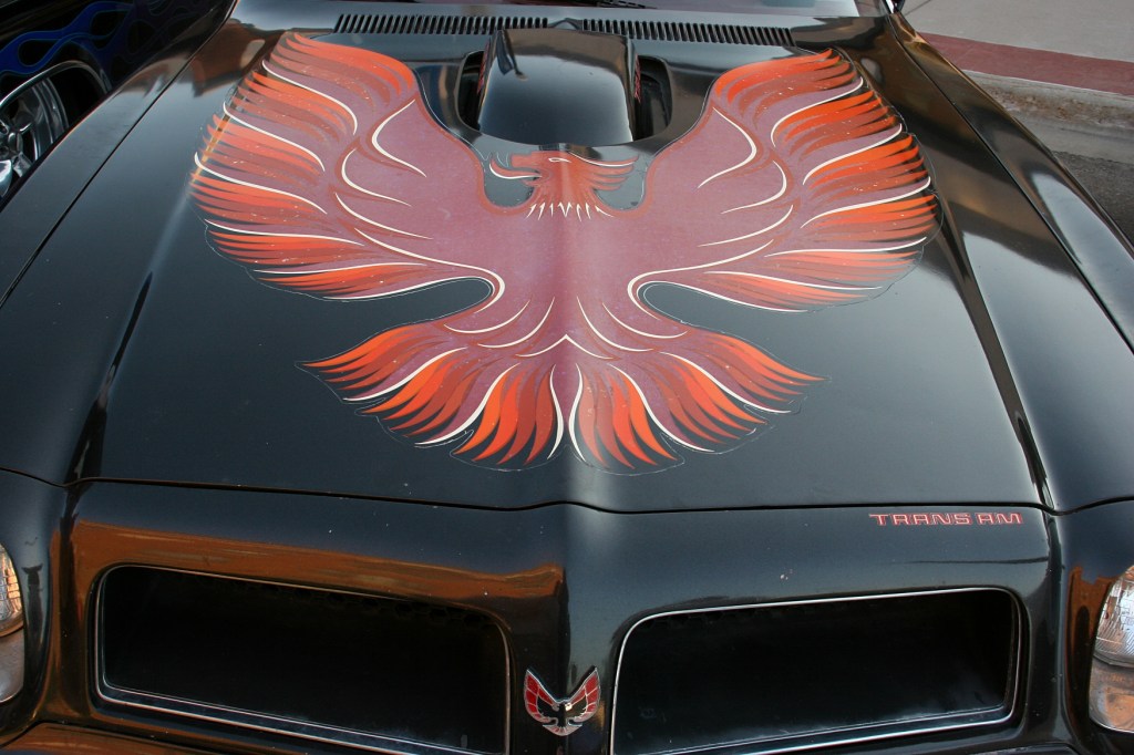 Art on the hood of a Thunderbird.