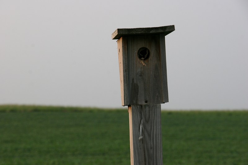 A birdhouse, perfect in its simplicity.