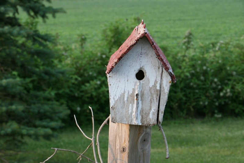 A rural home for the birds.
