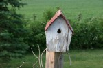 Rural, birdhouse 2
