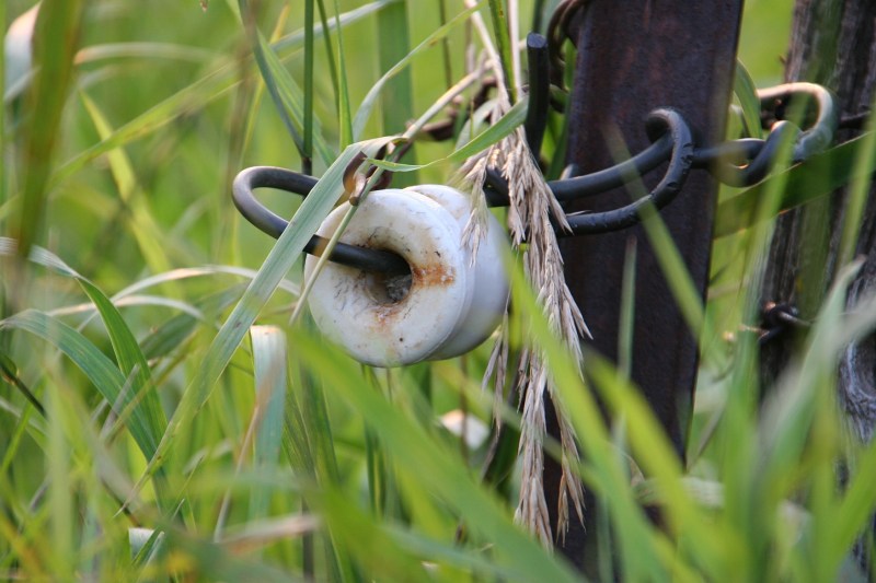 Even the sight of this aged insulator sparks memories.