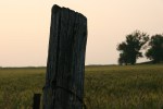 Rural, leaning fence post&nbsp;2