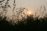 Rural, setting sun