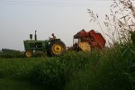 Rural, tractor
