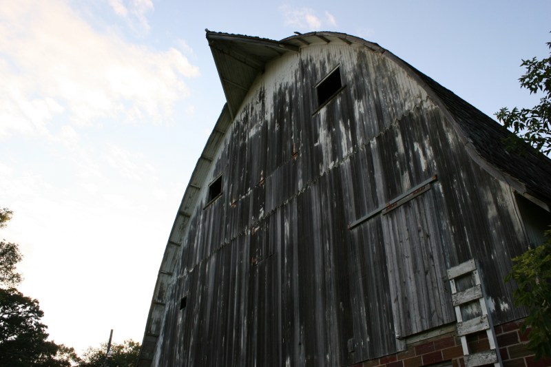 The barn rises high above the garden.