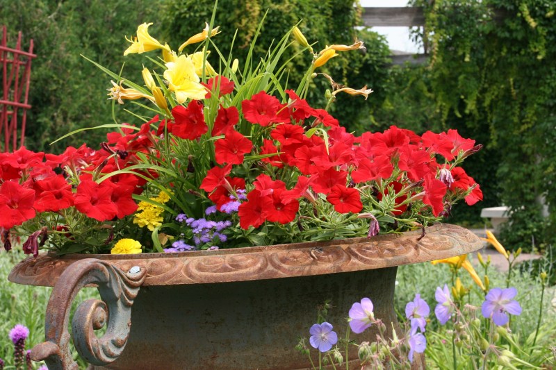 Gigantic urns overflow with flowers.