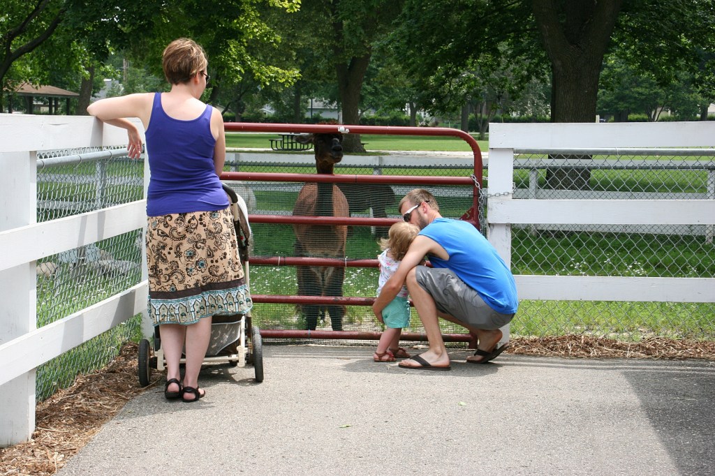 A young family checks out the alpacas.