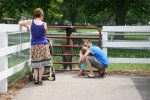 Sibley Farm, family with&nbsp;alpacas