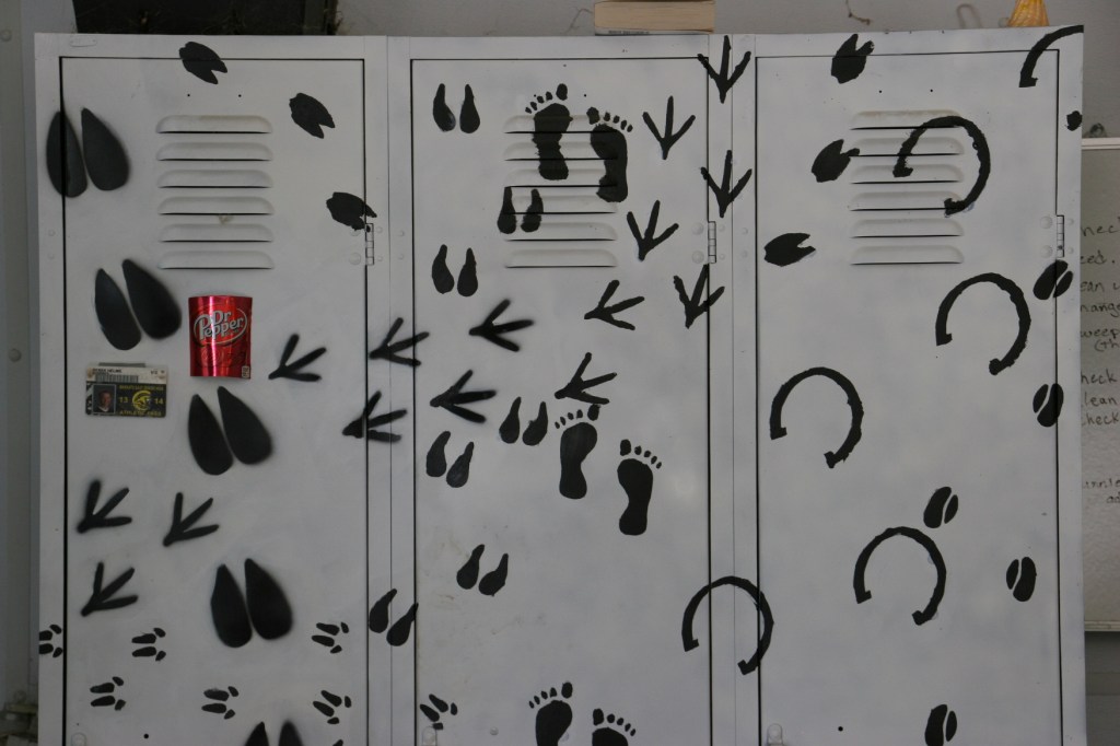 Appropriately printed lockers.
