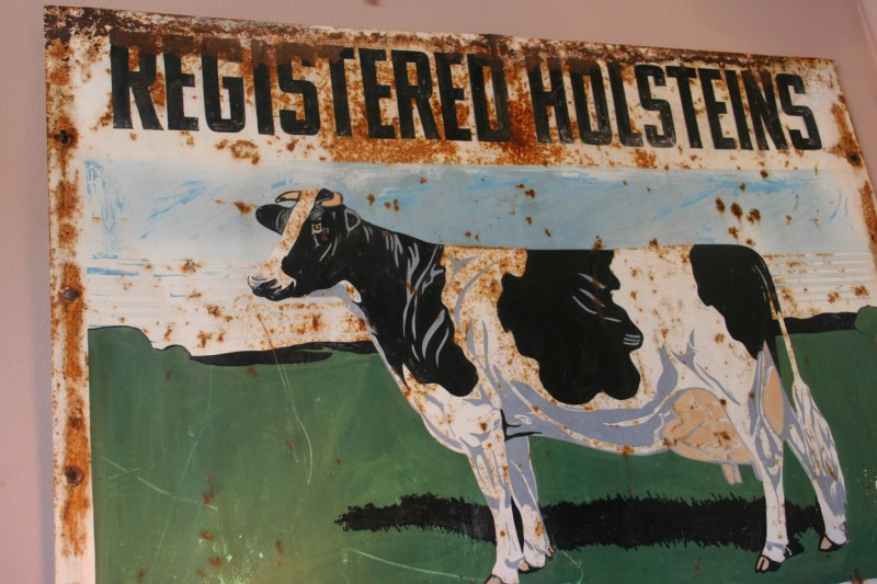 I grew up on a dairy farms, so this sign caught my eye and my heart.