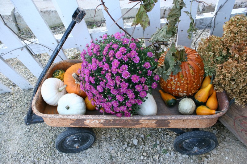 Barn dance, 84 wagon display