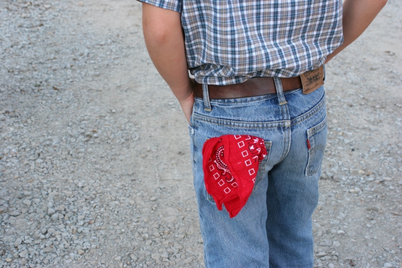 Many a farmer, including my dad, carried a hankie/bandanna in his pocket.