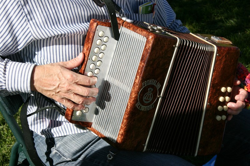 A musician plays her accordion at the market.