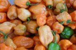 Market, peppers #3