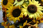 Market, sunflowers #31