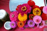 Market, zinnias #62