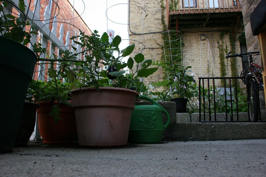 Plants fill pots and, to the right, you can see the edge of a bike rack.