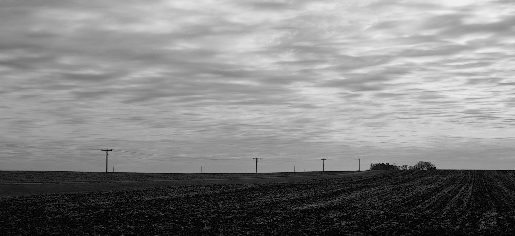 A bare field near Belview in southwestern Minnesota.