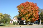 Autumn in Faribault, 217 Fifth Street&nbsp;NW