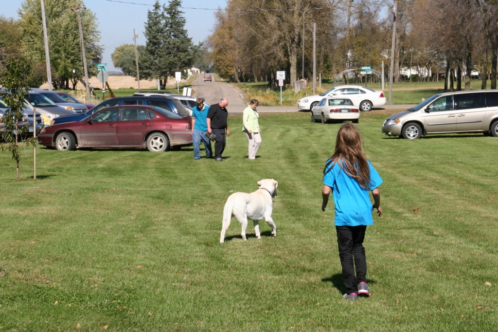 Sven the dog plays catch me.