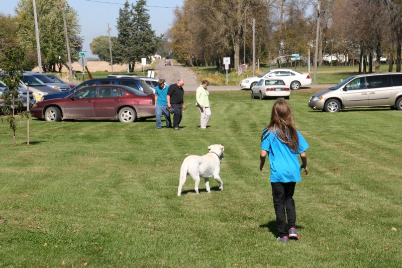 Sven the dog plays catch me.