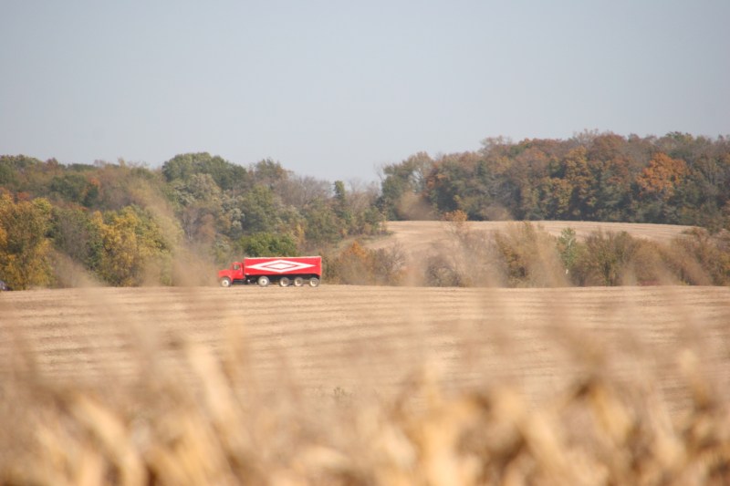 A grain truck awaits the harvest in a field.