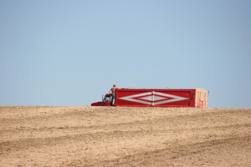 A farmer pauses to check his grain truck during harvesting.