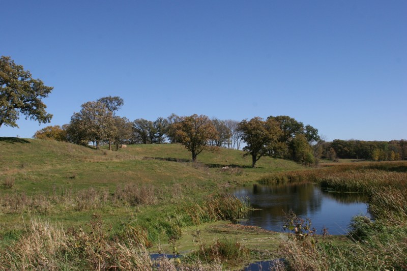 A beautiful surprise of oaks and water.