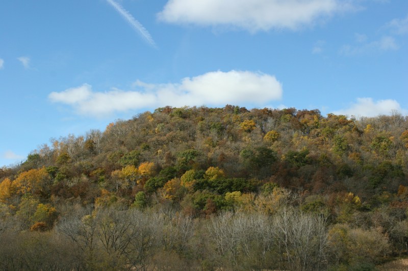 Bluffs just minutes from Rushford, Minnesota.