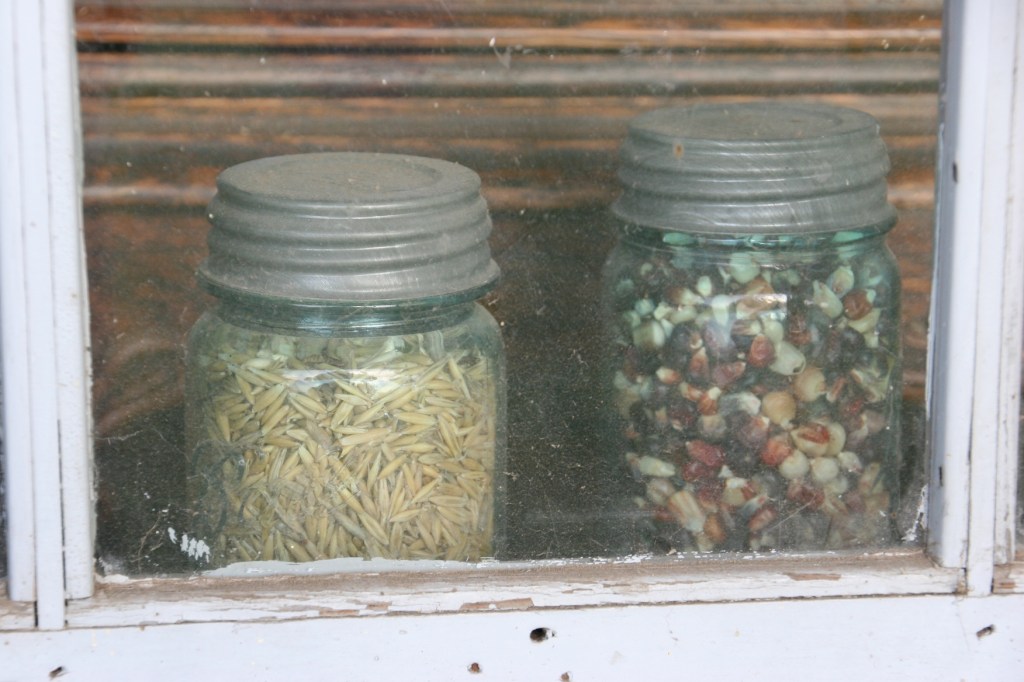 A scene photographed looking from the outside into the historic log cabin.