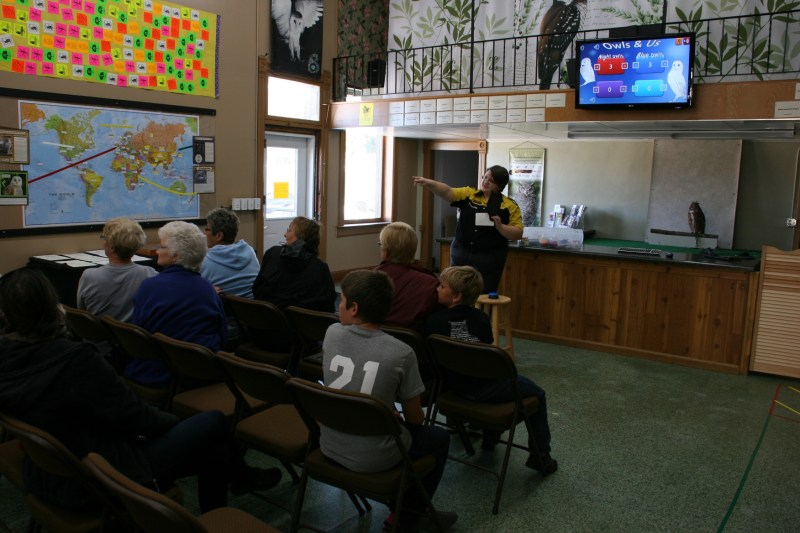 Owl Center visitors compete in a quiz show that teaches them all about owls.