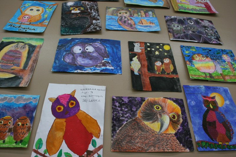 Owl art, from all over the worlds, decorates the center's walls.