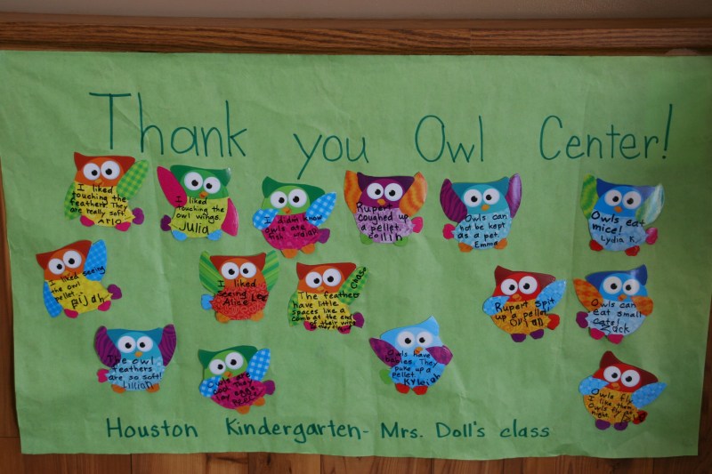 The International Owl Center serves as a great resource for area schools.