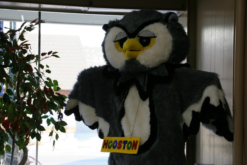 Lovable mascot, Hooston, presides over the gift shop.