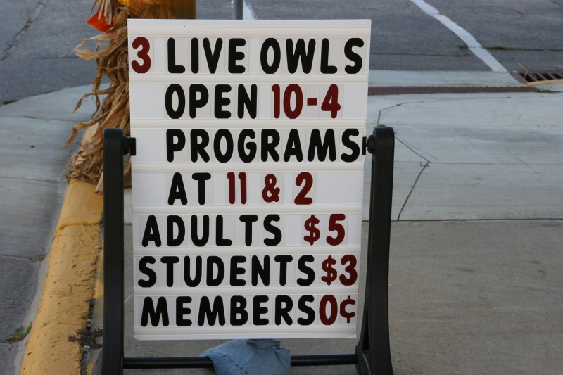 Time your visit for the live owl programs.