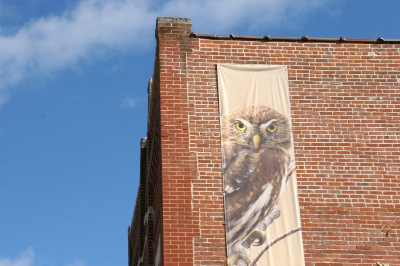 A banner on the side of the International Owl Center helps visitors find the building in downtown Houston.