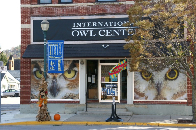 You can't miss this eye-catching window front. The International Owl Center is hoping to construct a new building to further its mission of advancing the survival of wild owls through education and research.