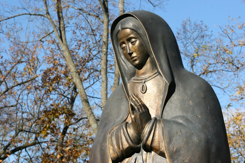 Our Lady of Guadalupe