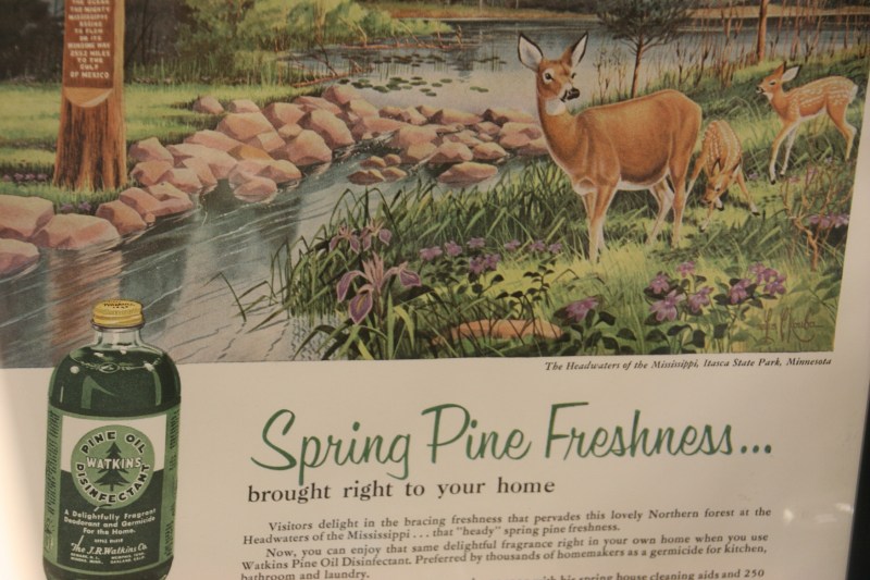 Pine cleaner, compared to the smell of the Minnesota northwoods.