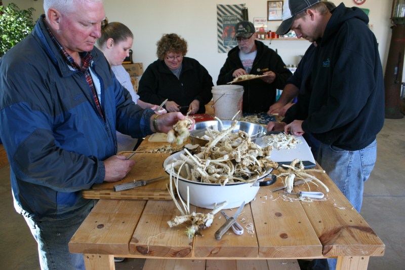 STEPS FOUR & FIVE: Family members peel horseradish before it's washed for a second time.