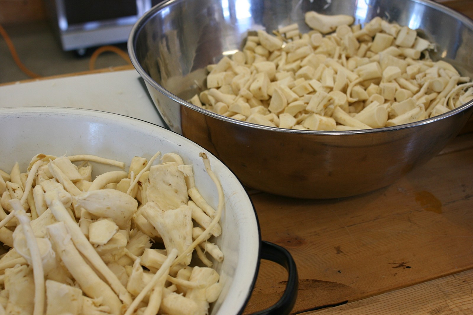 My Minnesota family’s tradition Harvesting & preserving horseradish