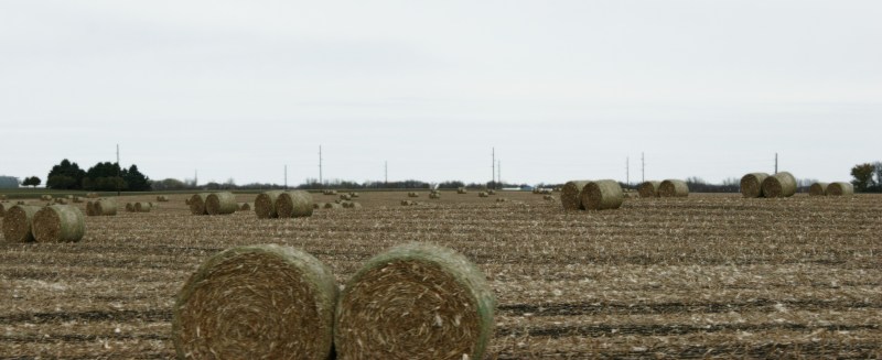 Cornstalk bales litter fields between Redwood Falls and Morgan.