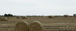 Rural, 238 round&nbsp;bales