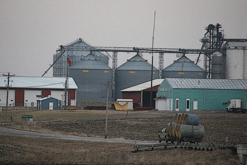 Bales on trailer, 82 with bins nearby