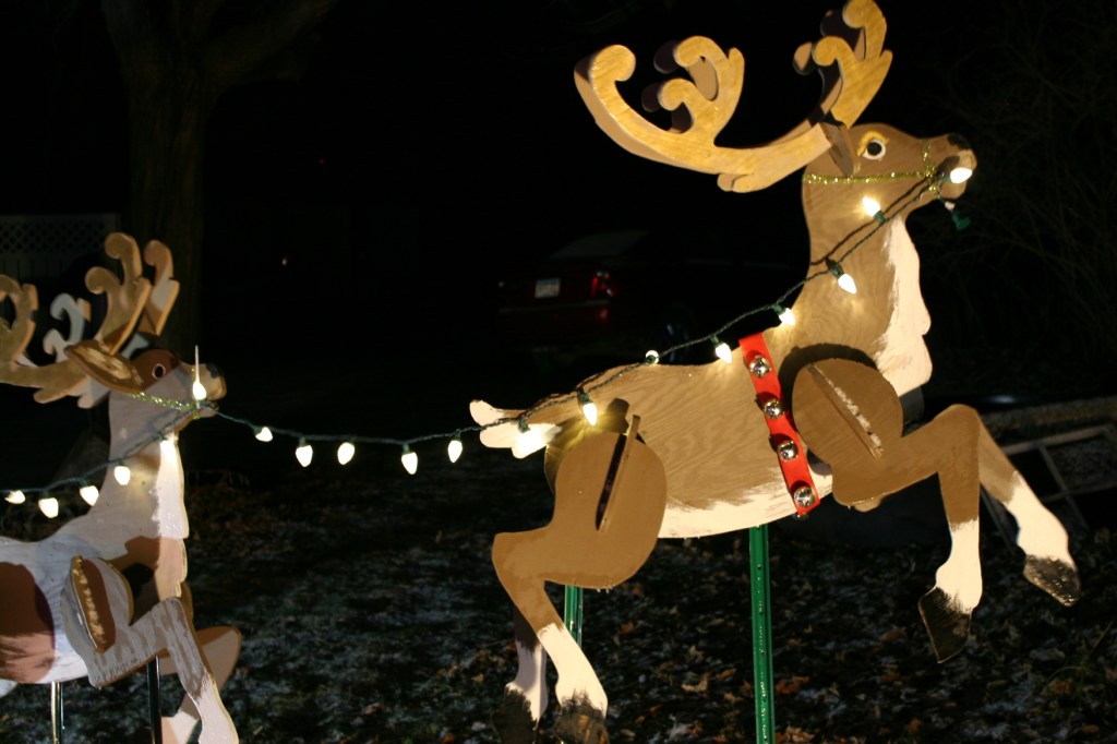 Holiday lights, 21 reindeer