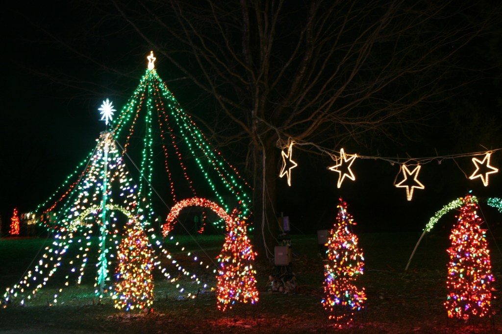 Holiday lights, 6 trees and stars