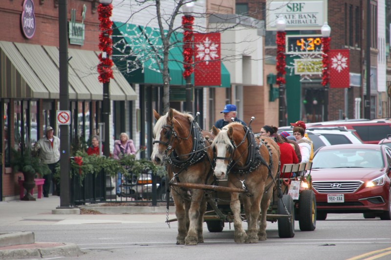 Santa's horse-drawn wagon, 79 close-up