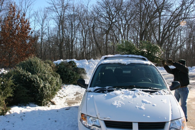 Randy unloads our Christmas tree.