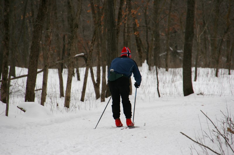 Nature Center, 11 single cross country skier